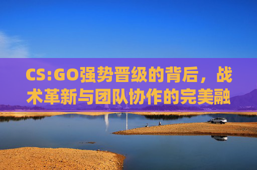 CS:GO强势晋级的背后，战术革新与团队协作的完美融合,csgo级别等级