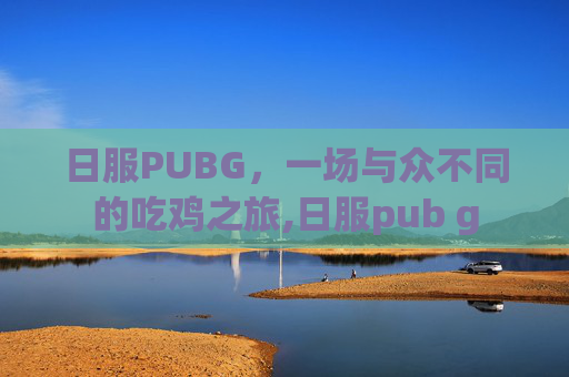 日服PUBG，一场与众不同的吃鸡之旅,日服pub g