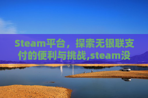 Steam平台，探索无银联支付的便利与挑战,steam没有银联选项