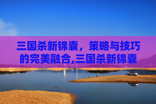 三国杀新锦囊，策略与技巧的完美融合,三国杀新锦囊牌介绍大全