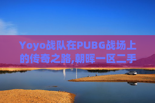 Yoyo战队在PUBG战场上的传奇之路,朝晖一区二手房