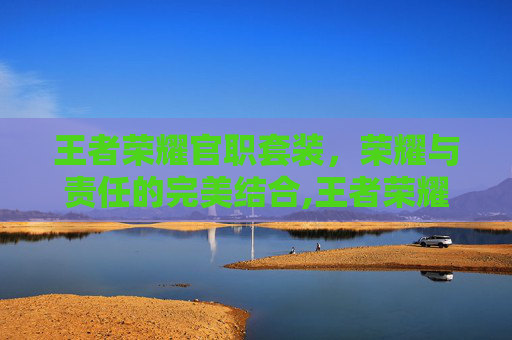 王者荣耀官职套装，荣耀与责任的完美结合,王者荣耀官职套装大全