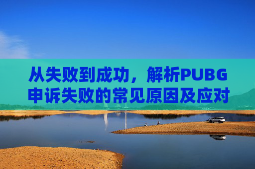 从失败到成功，解析PUBG申诉失败的常见原因及应对策略,PUBG申诉成功理由100字
