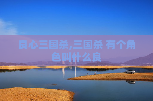 良心三国杀,三国杀 有个角色叫什么良