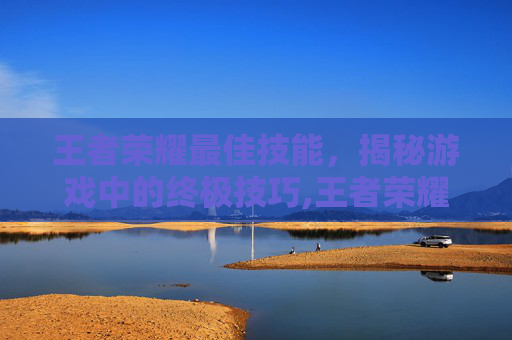 王者荣耀最佳技能，揭秘游戏中的终极技巧,王者荣耀最佳技能是什么