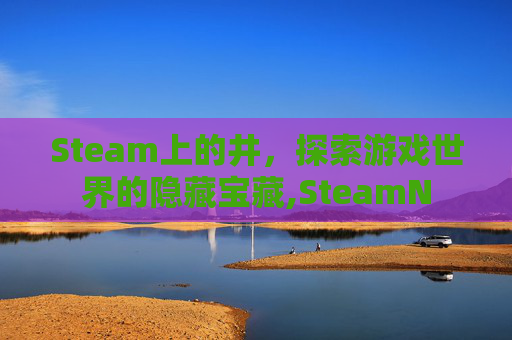 Steam上的井，探索游戏世界的隐藏宝藏,SteamN