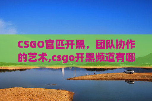 CSGO官匹开黑，团队协作的艺术,csgo开黑频道有哪些