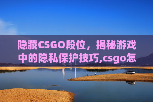 隐藏CSGO段位，揭秘游戏中的隐私保护技巧,csgo怎么隐藏段位图标
