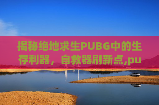 揭秘绝地求生PUBG中的生存利器，自救器刷新点,pubg自救器在哪里可以捡到