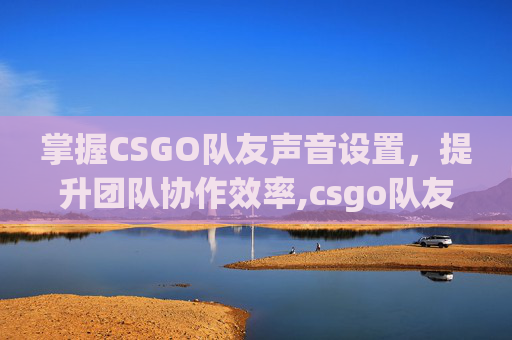 掌握CSGO队友声音设置，提升团队协作效率,csgo队友声音怎么设置的