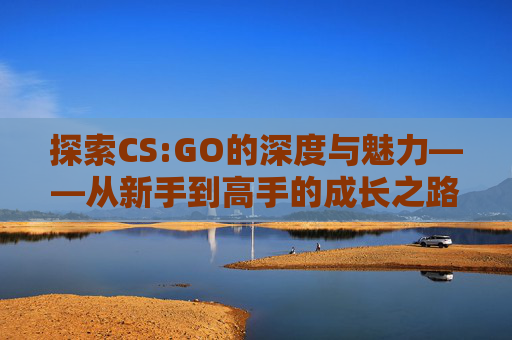 探索CS:GO的深度与魅力——从新手到高手的成长之路,稀饭动漫