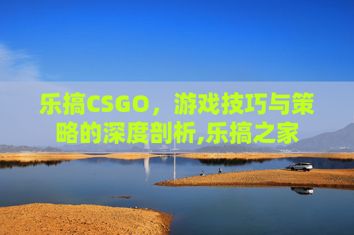 乐搞CSGO，游戏技巧与策略的深度剖析,乐搞之家