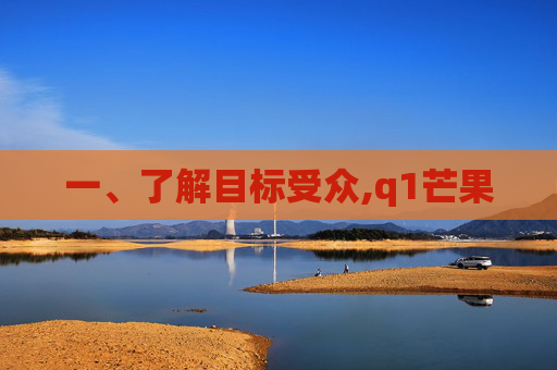 一、了解目标受众,q1芒果