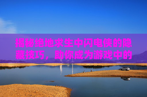 揭秘绝地求生中闪电侠的隐藏技巧，助你成为游戏中的隐形高手,电线为什么是两根