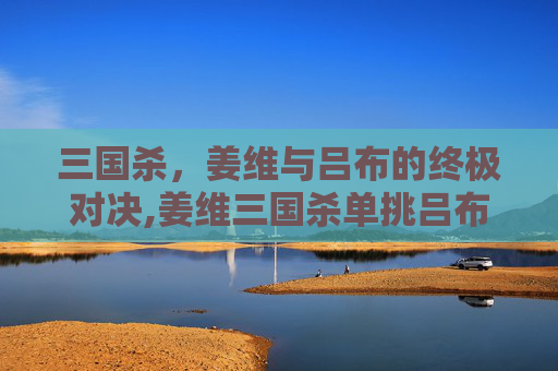 三国杀，姜维与吕布的终极对决,姜维三国杀单挑吕布台词是什么