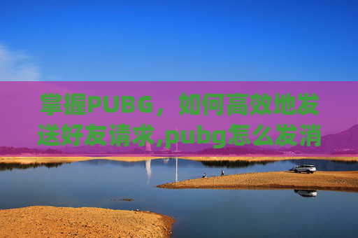 掌握PUBG，如何高效地发送好友请求,pubg怎么发消息给队友
