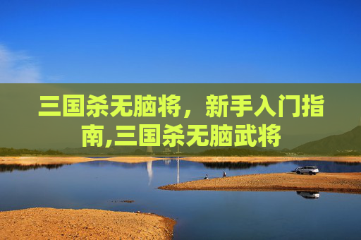 三国杀无脑将，新手入门指南,三国杀无脑武将