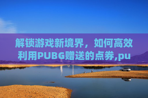 解锁游戏新境界，如何高效利用PUBG赠送的点券,pubgmobile免费点券