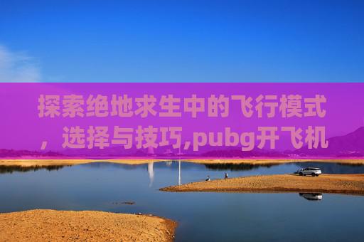 探索绝地求生中的飞行模式，选择与技巧,pubg开飞机技巧