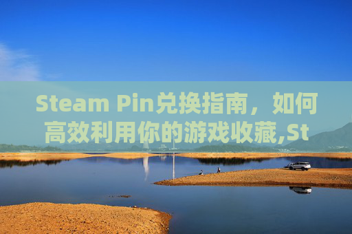 Steam Pin兑换指南，如何高效利用你的游戏收藏,Steam兑换码在哪儿兑换