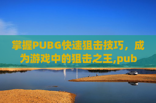 掌握PUBG快速狙击技巧，成为游戏中的狙击之王,pubg狙击枪怎么打才准