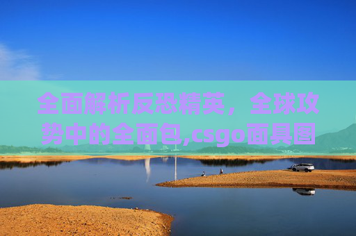 全面解析反恐精英，全球攻势中的全面包,csgo面具图片