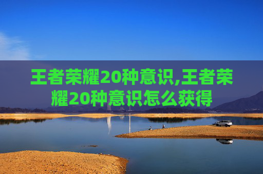 王者荣耀20种意识,王者荣耀20种意识怎么获得