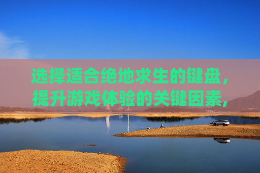 选择适合绝地求生的键盘，提升游戏体验的关键因素,pubg什么键盘好
