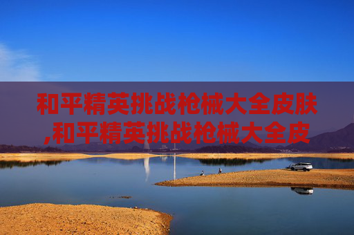 和平精英挑战枪械大全皮肤,和平精英挑战枪械大全皮肤图片