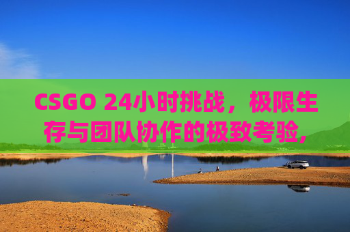 CSGO 24小时挑战，极限生存与团队协作的极致考验,csgo24年top
