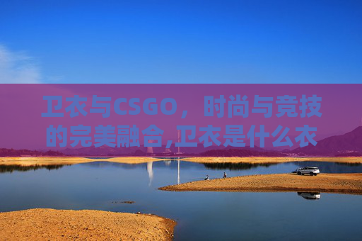 卫衣与CSGO，时尚与竞技的完美融合,卫衣是什么衣服