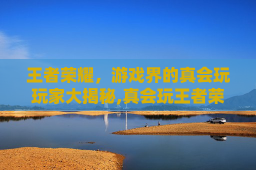 王者荣耀，游戏界的真会玩玩家大揭秘,真会玩王者荣耀吗