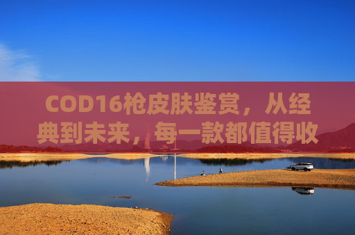 COD16枪皮肤鉴赏，从经典到未来，每一款都值得收藏,COD16武器皮肤解锁攻略