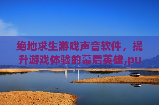 绝地求生游戏声音软件，提升游戏体验的幕后英雄,pubg声音hrtf