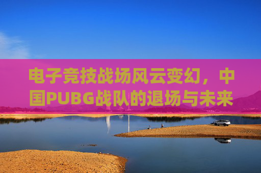 电子竞技战场风云变幻，中国PUBG战队的退场与未来展望,pubgmet中国队退赛