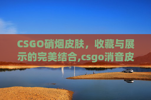 CSGO硝烟皮肤，收藏与展示的完美结合,csgo消音皮肤