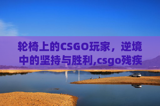轮椅上的CSGO玩家，逆境中的坚持与胜利,csgo残疾人轮椅头像