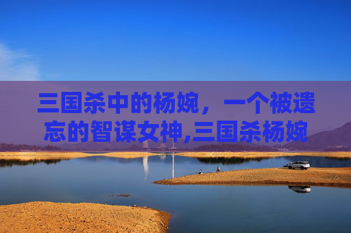 三国杀中的杨婉，一个被遗忘的智谋女神,三国杀杨婉知乎小说