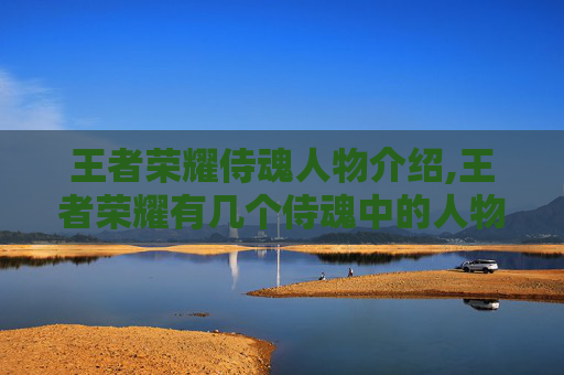 王者荣耀侍魂人物介绍,王者荣耀有几个侍魂中的人物