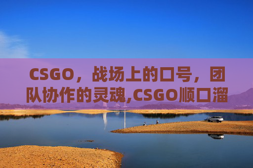 CSGO，战场上的口号，团队协作的灵魂,CSGO顺口溜