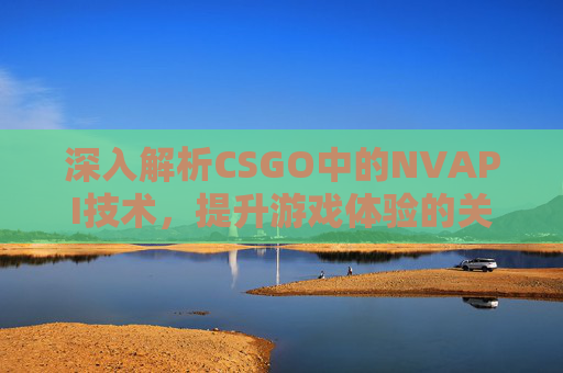 深入解析CSGO中的NVAPI技术，提升游戏体验的关键