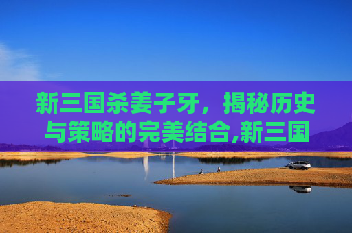 新三国杀姜子牙，揭秘历史与策略的完美结合,新三国杀姜子牙技能介绍