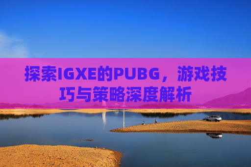 探索IGXE的PUBG，游戏技巧与策略深度解析