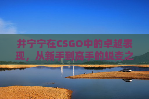 井宁宁在CSGO中的卓越表现，从新手到高手的蜕变之路,井宁宁微博