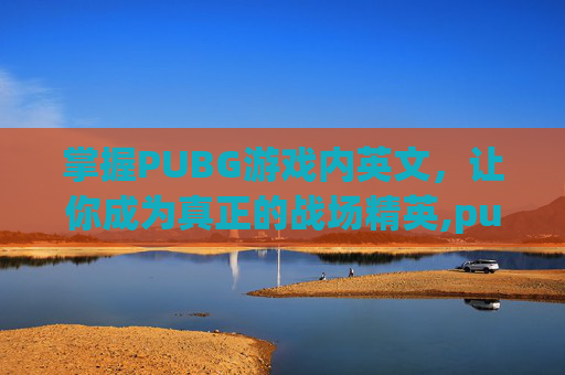 掌握PUBG游戏内英文，让你成为真正的战场精英,pubg吃鸡英文