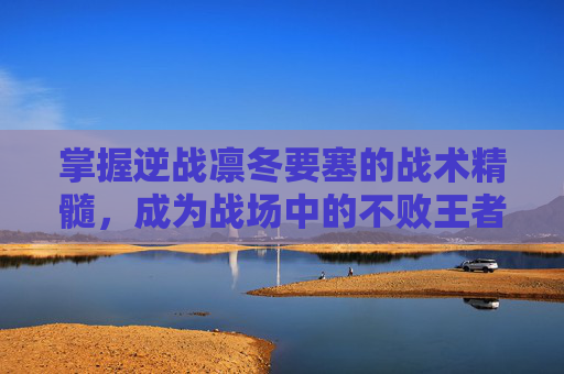 掌握逆战凛冬要塞的战术精髓，成为战场中的不败王者,逆战凛冬要塞boss怎么打