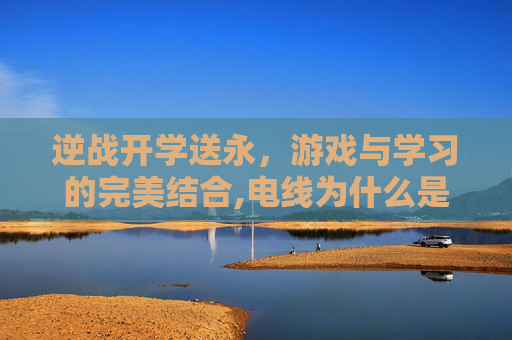 逆战开学送永，游戏与学习的完美结合,电线为什么是两根