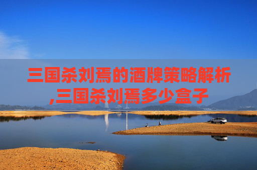 三国杀刘焉的酒牌策略解析,三国杀刘焉多少盒子