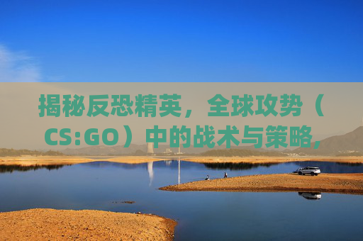 揭秘反恐精英，全球攻势（CS:GO）中的战术与策略,csgo联机