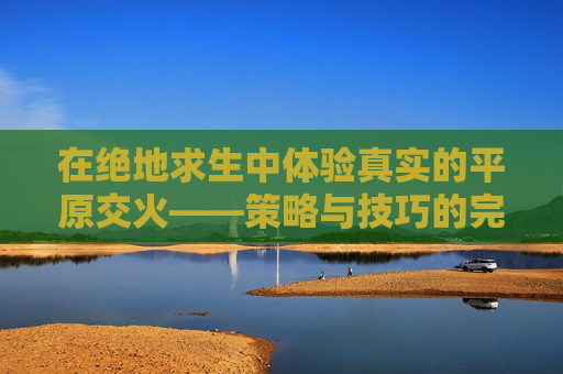 在绝地求生中体验真实的平原交火——策略与技巧的完美结合